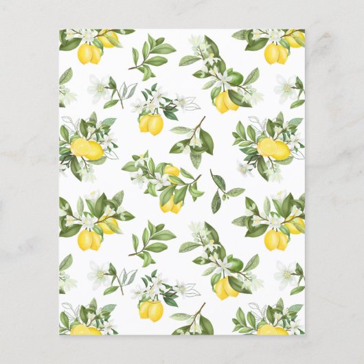 Budget Lemon Citrus Birthday Picnic Flyer (Achterkant)