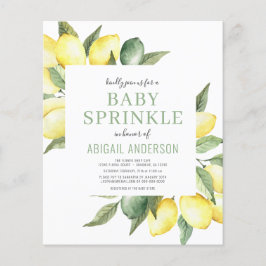 Budget Lemon Modern Baby sprint Flyer