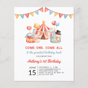 Budget Leuke Circus Carnaval Festival 1e Verjaarda Flyer