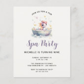 Budget Leuke Pastel Pony Spa Dag Kind Verjaardagsf (Voorkant)