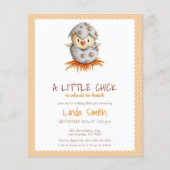 Budget Leuke Vogelluik Baby shower Uitnodiging (Voorkant)