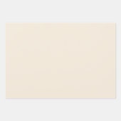 BUDGET Light BEIGE Monochrome bruiloft Inpakpapier Vel (Voorkant)