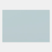 BUDGET Light Sage Green Monochrome Weddenschap Inpakpapier Vel (Voorkant)