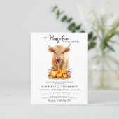 Budget Little Pumpkin Highland Koe Baby shower (Staand voorkant)