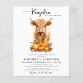 Budget Little Pumpkin Highland Koe Baby shower (Voorkant)