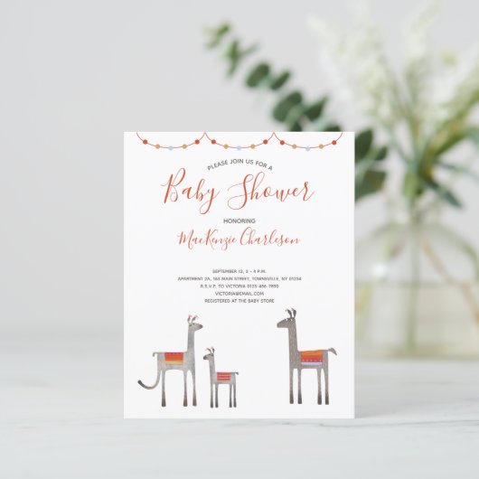 Budget Llama Baby shower (Staand voorkant)