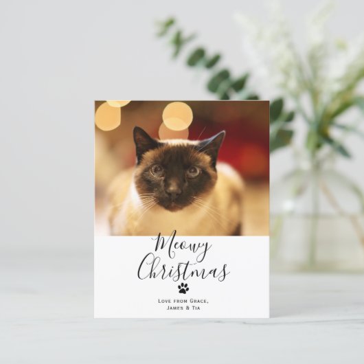 BUDGET Meowy kerstpas met kerstmis Kaart (Staand voorkant)