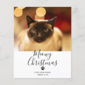 BUDGET Meowy kerstpas met kerstmis Kaart (Voorkant)