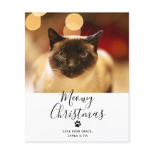 BUDGET Meowy kerstpas met kerstmis Kaart