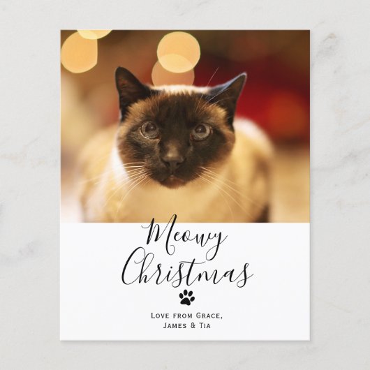 BUDGET Meowy kerstpas met kerstmis Kaart (Voorkant)