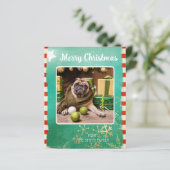 Budget Merry Christmas Pet Foto (Staand voorkant)