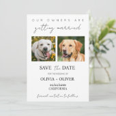 Budget, minimalistisch, schattig aangepaste hond f save the date (Staand voorkant)