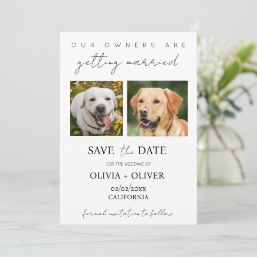 Budget, minimalistisch, schattig aangepaste hond f save the date (Staand voorkant)