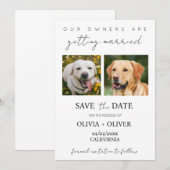 Budget, minimalistisch, schattig aangepaste hond f save the date (Voorkant / Achterkant)