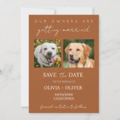Budget, minimalistisch, terracotta Aangepaste hond Save The Date (Voorkant)