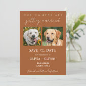 Budget, minimalistisch, terracotta Aangepaste hond Save The Date (Staand voorkant)