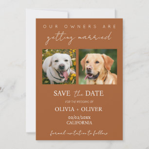 Budget, minimalistisch, terracotta Aangepaste hond Save The Date