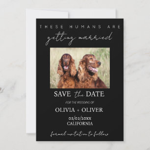 Budget, minimalistisch, zwart & wit Custom hond fo Save The Date