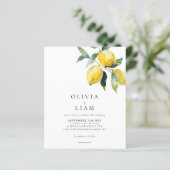 BUDGET Minimalistische Citrus Lemon Waterverf Brui (Staand voorkant)