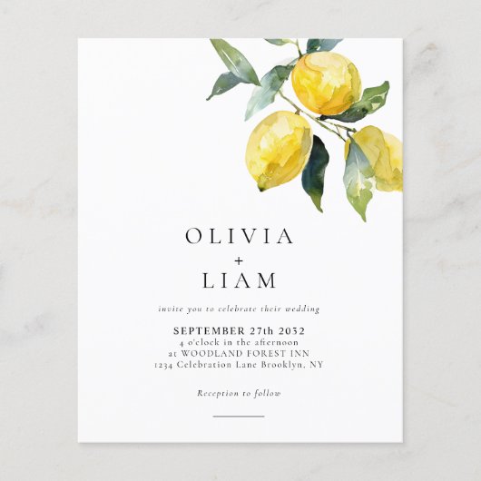 BUDGET Minimalistische Citrus Lemon Waterverf Brui (Voorkant)