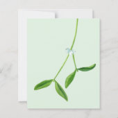 Budget Mistletoe Kerstbruiloft (Achterkant)