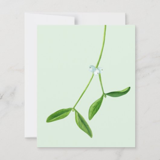 Budget Mistletoe Kerstbruiloft (Achterkant)