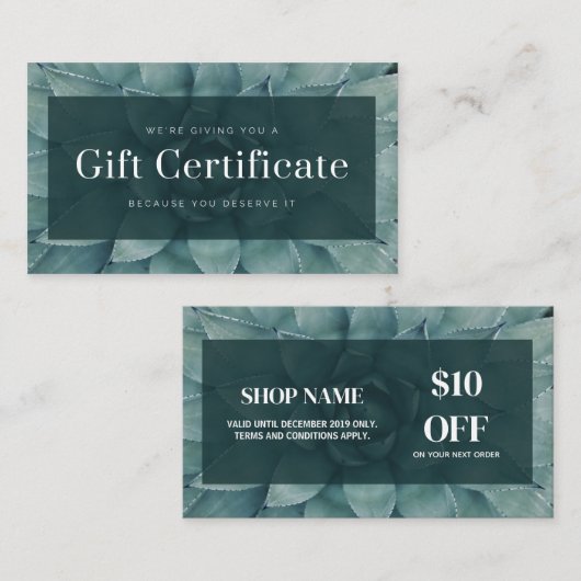 Budget Modern Business Cadeaubon Informatiekaartje (Voorkant / Achterkant)