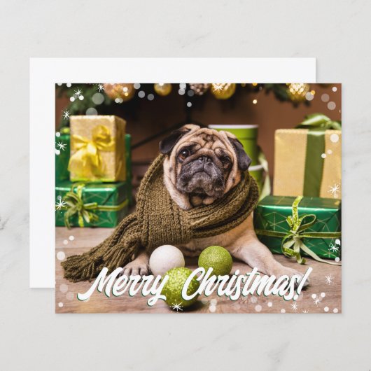 Budget Moderne foto (Voorkant / Achterkant)