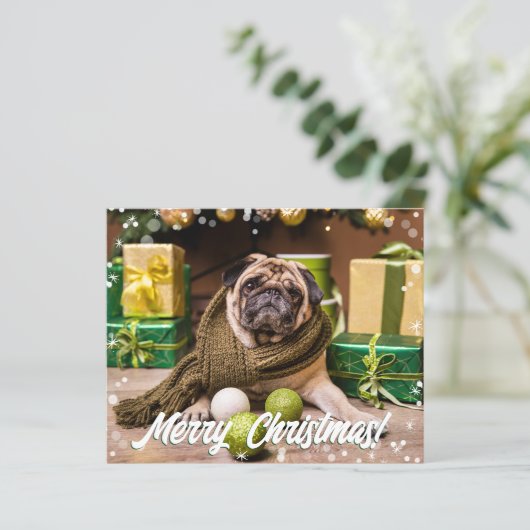 Budget Moderne foto (Staand voorkant)