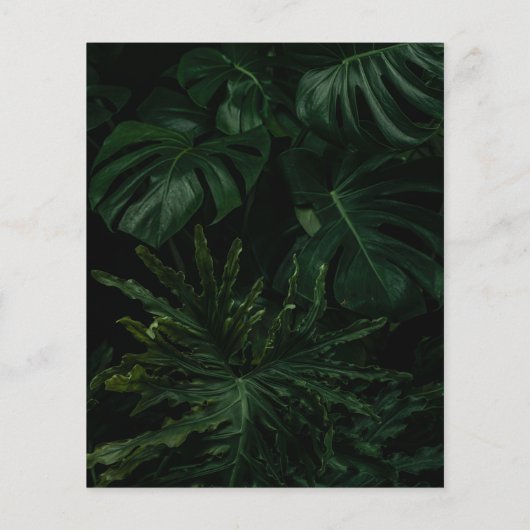 Budget Moody Tropical Monstera Wedding (Achterkant)