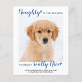 Budget Naught Nice Funny Pet Photo Holiday Kaart (Voorkant)