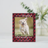 Budget Naughty Nice Pet Foto Red Play Holiday (Staand voorkant)