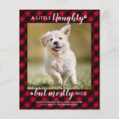 Budget Naughty Nice Pet Foto Red Play Holiday (Voorkant)