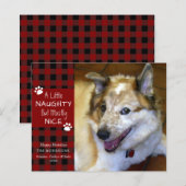 Budget Naughty of Nice Dog Photo Wenskaart (Voorkant / Achterkant)