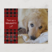 Budget Naughty of Nice Dog Photo Wenskaart (Voorkant)