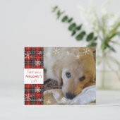 Budget Naughty of Nice Photo Funny Holiday Card (Staand voorkant)