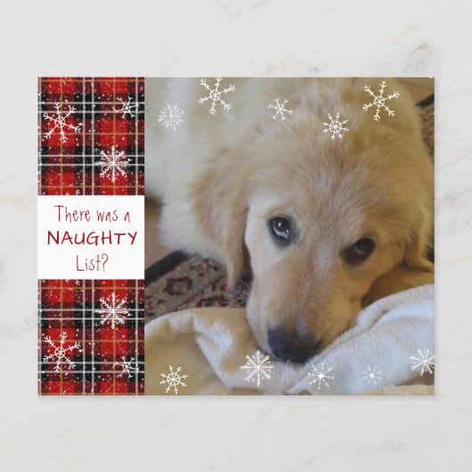 Budget Naughty of Nice Photo Funny Holiday Card (Voorkant)