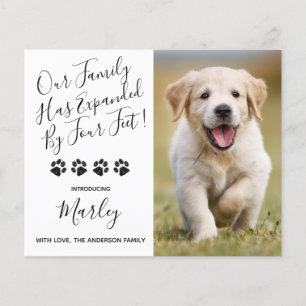 Budget nieuwe pakket uitgebreid met 4-feet Puppy D