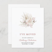 Budget nieuwe roze startroze rozen Eucalyptus Movi (Voorkant / Achterkant)