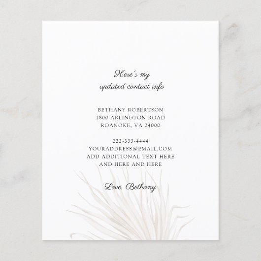 Budget nieuwe roze startroze rozen Eucalyptus Movi (Achterkant)