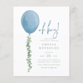 Budget Oh Boy Eucalyptus Balloon Baby shower (Voorkant)