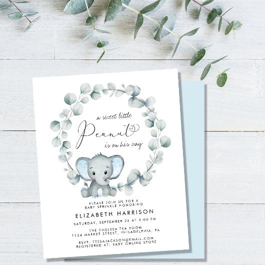 Budget Olifant Baby Boy Sprinkle Uitnodiging