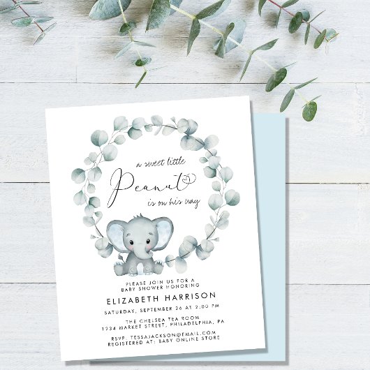 Budget Olifant Eucalyptus Baby Jongen Douche Invit