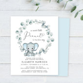 Budget Olifant Eucalyptus Baby Jongen Douche Invit