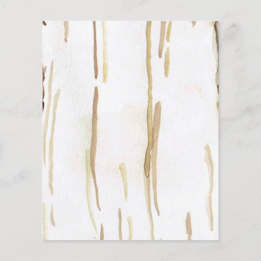 Budget One Happy Camper Woodland Beer 1e Verjaarda (Achterkant)