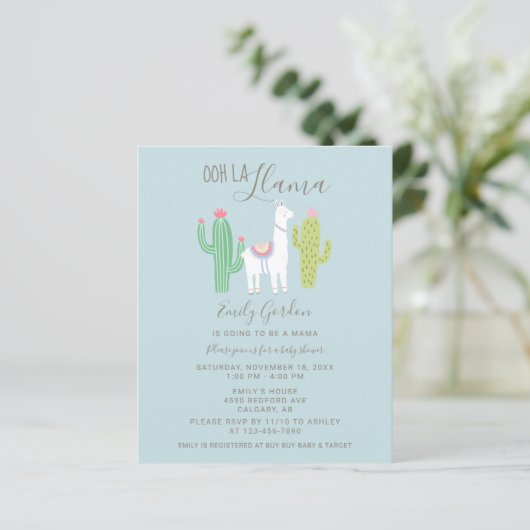 Budget Ooh La Llama Baby shower schattig blauw en  (Staand voorkant)