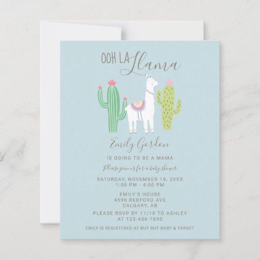Budget Ooh La Llama Baby shower schattig blauw en  (Voorkant)