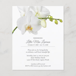Budget Orchid Floral Herdenking Flyer