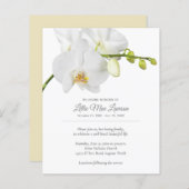 Budget Orchid Funeral Memorial Celebrite (Voorkant / Achterkant)