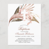 Budget Orchid Pampas Grass Terracotta (Voorkant)